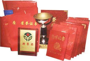 精伦教育